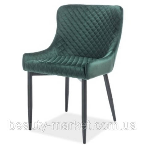 Кресло клиента Colins