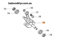 Коленвал для бензопилы Oleo-Mac GS 44 (50230082R)