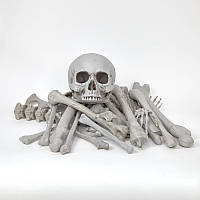 Декор на Хэллоуин Скелет в разобранном виде, 28 костей