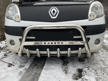 Кенгурник на Renault Kangoo (c 2008---) Рено Кенго PRS, фото 1