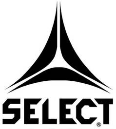 Футбольні м'ячі Select