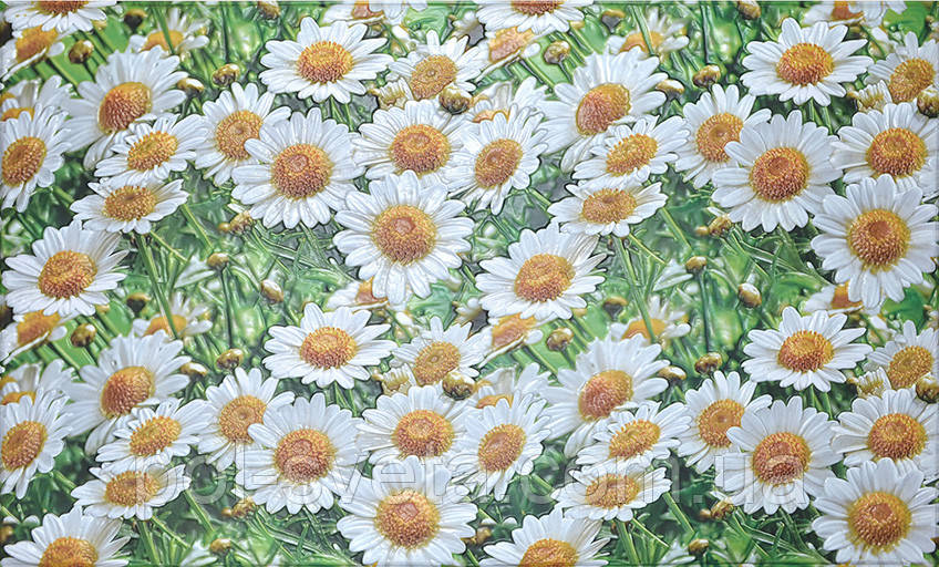 Панель ПВХ Grace Ромашкі 602х1020 мм, фото 1