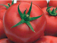 Насіння томату напівдетермінантного, Гравітет F1, (500семян), Syngenta, Швейцарія
