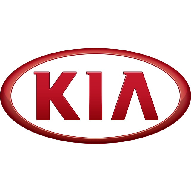 Органайзер KIA