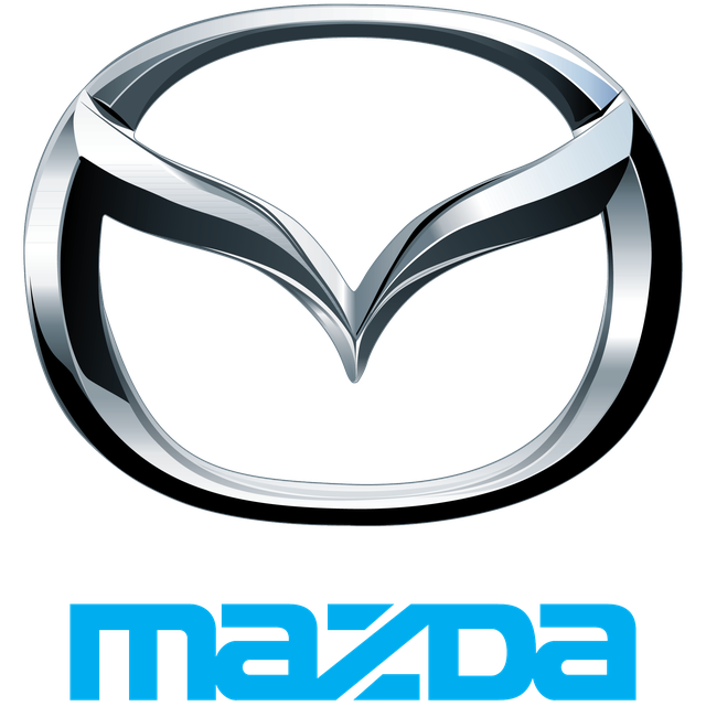 Органайзер Mazda