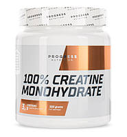 Креатин Progress Nutrition Creatine Monohydrate, 500 грамм