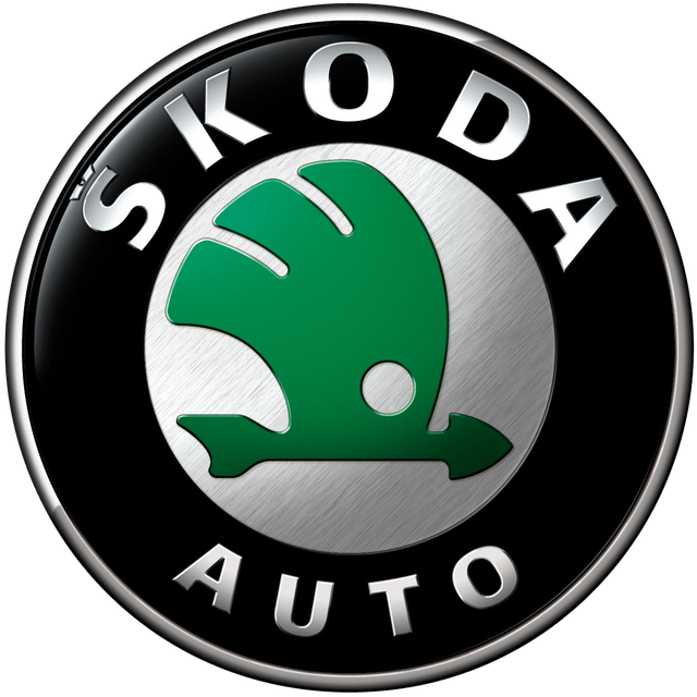 Органайзер Skoda