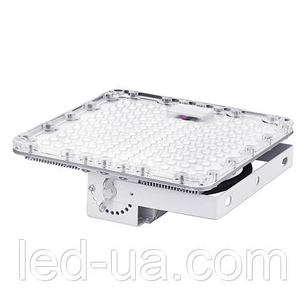 Прожектор світлодіодний FL-PRO-LM1 40W, фото 2