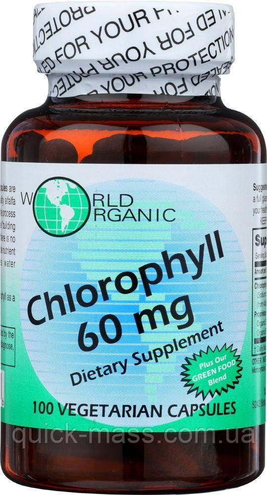 Хлорофіл World Organic 60 мг, 100 капсул, фото 1