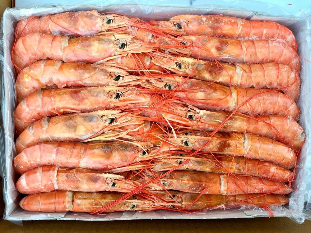 Лангустини angustion, фото 1