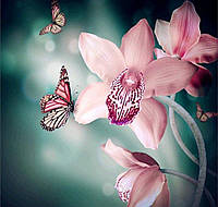 Алмазная Мозаика Орхидеи и Бабочки Набор Вышивки Камнями DIY-6117 30x30 см (Полная Выкладка)