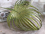Лист пальми - декоративні гілки блискучі, 30 см висота із стеблом, фото 7