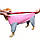 Дощовик для великих собак «Графіт», жовтий, одяг для собак середніх та великих порід, фото 5