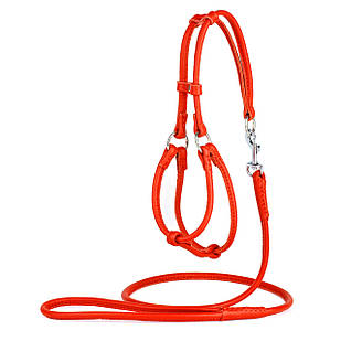 Комплект (шлея та повідець) KARELINE з натуральної шкіри круглий 6 мм 1050 мм