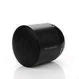 Портативна Bluetooth Колонка Hopestar H9 FM+AUX+MicroSD+USB Black (2_009574), фото 3