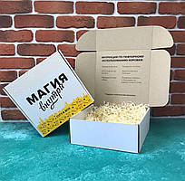 Подарунковий Набір City-A Box Бокс для Жінки Б'юті Beauty Box з 8 од №2364
