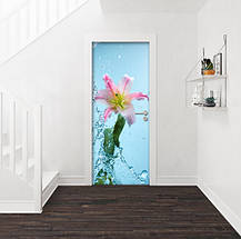 Інтер'єрна наклейка на двері (вінілова плівка самоклеюча ламінована ПВХ) 200 х 65 см, фото 4