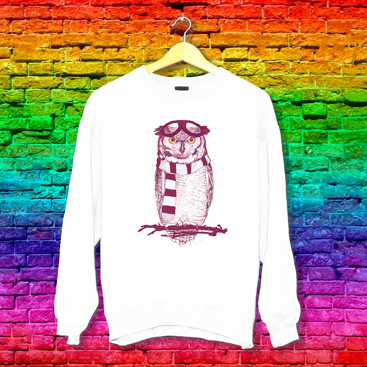 Світшот з принтом Сова пілот Push IT