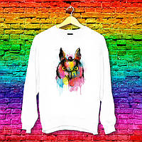 Світшот з принтом Сова райдужна Push IT