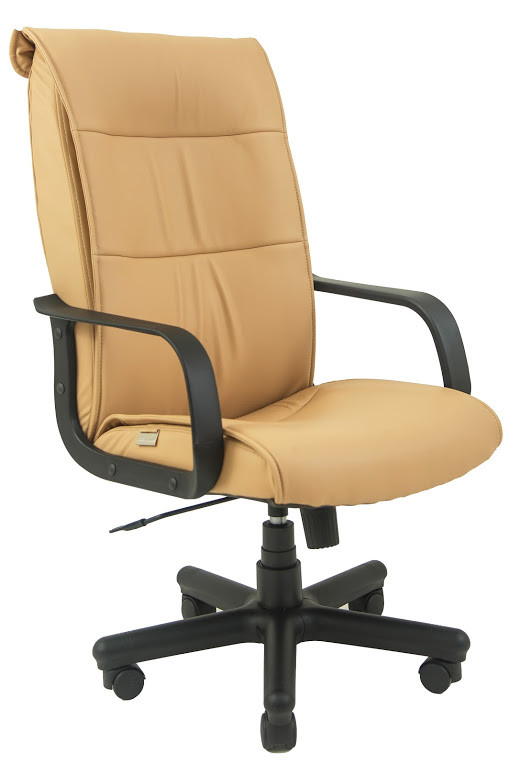 Крісло офісне Ріо підлокітники пластик механізм Tilt шкірозамінник Флай-2201 (Richman ТМ)