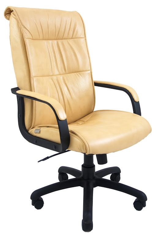 Крісло офісне Ріо пластик підлокітники річ механізм Tilt екошкіра Титан Голд Беж (Richman ТМ)