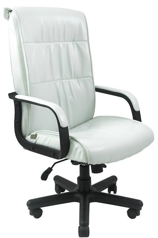 Крісло офісне Ріо пластик підлокітники рич механізм Tilt екошкіра Неаполь-50 (Richman ТМ)