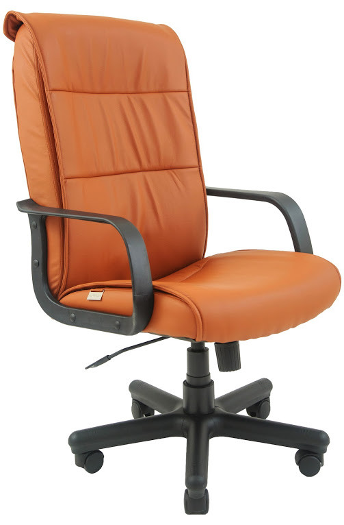 Крісло офісне Ріо підлокітники пластик механізм Tilt шкірозамінник Флай-2205 (Richman ТМ)