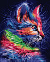 Картина по номерам 40х50 см Babylon Разноцветный котенок (VP 1252)