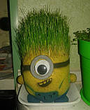 Декоративний газон "Міньйон-1 сувенір", фото 3