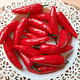 Перець гострий штучний, фото 2