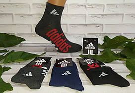 Шкарпетки чоловічі 41-45 раз спортивні за 1 пару