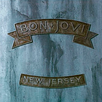 Виниловые пластинки BON JOVI