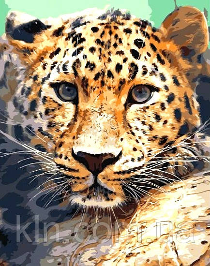 Алмазна вишивка на підрамнику 40 х 50 см Леопард відпочиває (арт. TN947) квадратні камені, фото 1
