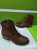 STTOPA деми зима. Розміри 36-41. Напівчоботи шкіряні. Каблук 4,5 см. 210-3641-45 Коричневі, фото 2