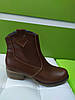 STTOPA деми зима. Розміри 36-41. Напівчоботи шкіряні. Каблук 4,5 см. 210-3641-45 Коричневі, фото 8