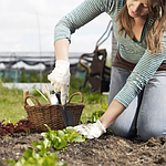 ВСЕ ДЛЯ ГОРОДУ