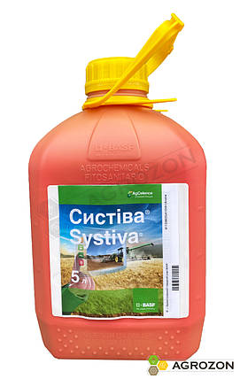 Протруювач Систіва BASF - 5 л, фото 2