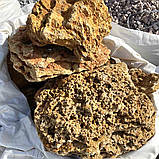 Валун "Ракушняк" для ландшафтного дизайну та клумб, фото 2