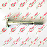 Болт спеціальний притиску гачка M8x75 в'язального апарату на прес-підбирач Famarol Z-511 8245-511-070-069, фото 3