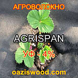 Агроволокно чорне 1.6х100м щільність 50г/кв. м UV-P 4% AGRISPAN-АГРИСПАН Польська якість за доступною ціною., фото 4