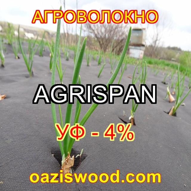 Агроволокно чорне 3.2х100м щільність 50г/кв. м UV-P 4% AGRISPAN-АГРИСПАН Польська якість за доступною ціною.