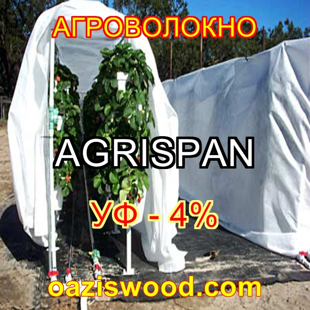 Агроволокно біле 3.2х50м 40г/кв. м UV-P 4% AGRISPAN-АГРИСПАН Польська якість за доступною ціною.