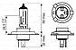 Автолампа розжарювання H4/P43T 12 V 60/55 W BOSCH 1 987 302 041, фото 2