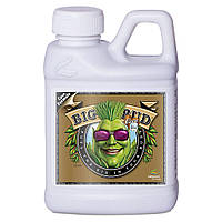 Стимулятор цветения для кокосового грунта Advanced Nutrients BIG BUD COCO (250ml)