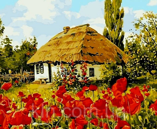 Алмазна вишивка на підрамнику Будинок в селі 40 х 50 см (арт. TN958), фото 1