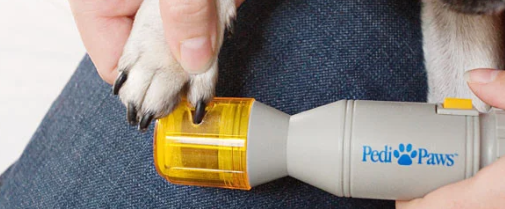 Pedi paws
