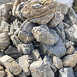 Валун закарпатський рельєфний для ландшафту та клумб, фото 3