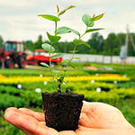 ВСЕ ДЛЯ РОЗСАДНИКІВ І ТЕПЛИЦЬ