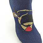 Шкарпетки чоловічі махрові "Новий рік" середні GRAND, р27-29, темно-сині, 20031725, фото 3