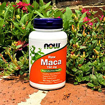 Мака Now Foods Maca 750 mg 90 капс, фото 6